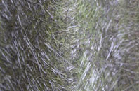 Dronfield Woodhouse fibreglass roof work